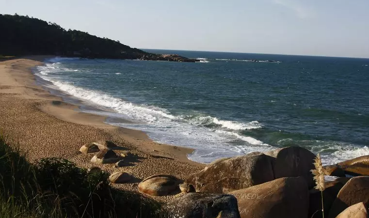 Terrenos em praia intocada de Balneário Camboriú são arrematados em leilão por R$ 31,5 milhões