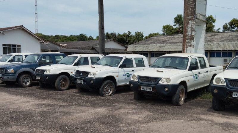 Embrapa Roraima realiza leilão de bens inservíveis