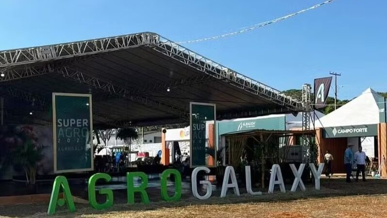 Após abrir em alta de 5%, ações da Agrogalaxy entram em leilão